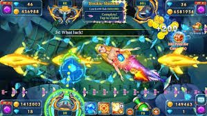 kv999